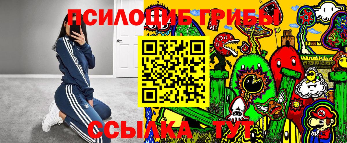 Новозыбков  Псилоцибиновые грибы ЛСД  Вход с VPN 