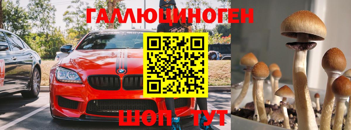 Псилоцибиновые грибы GOLDEN TEACHER Новозыбков